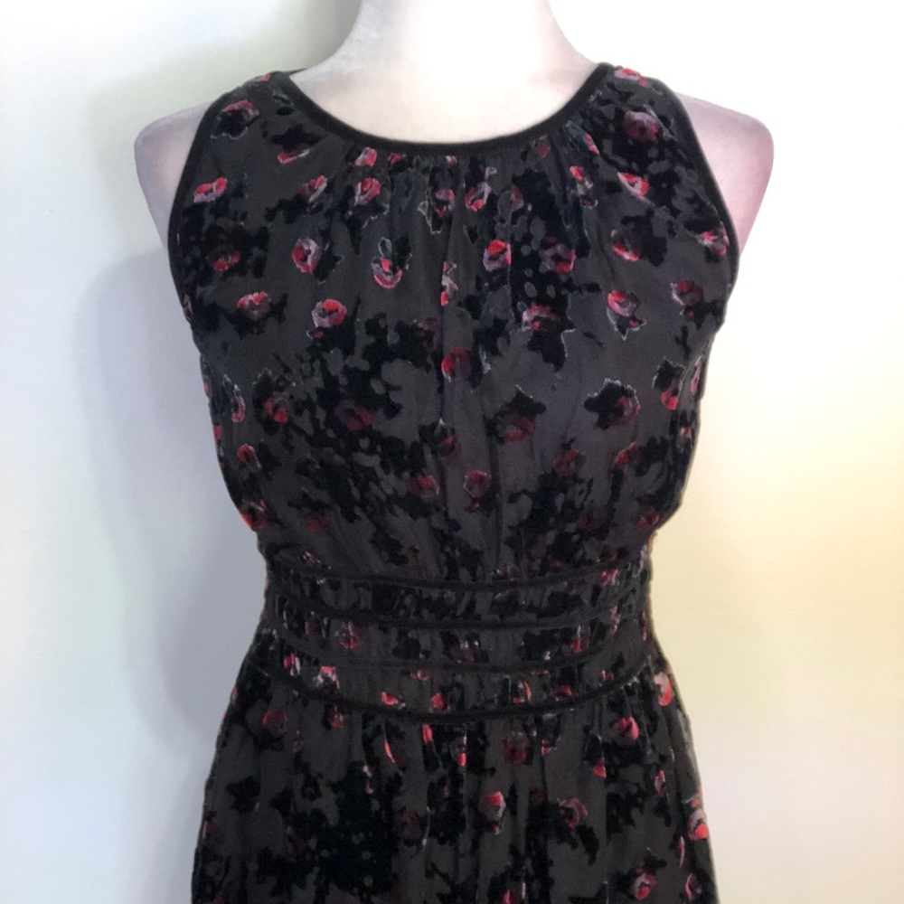 NWT Max Studio Velvet Floral Lace Dress